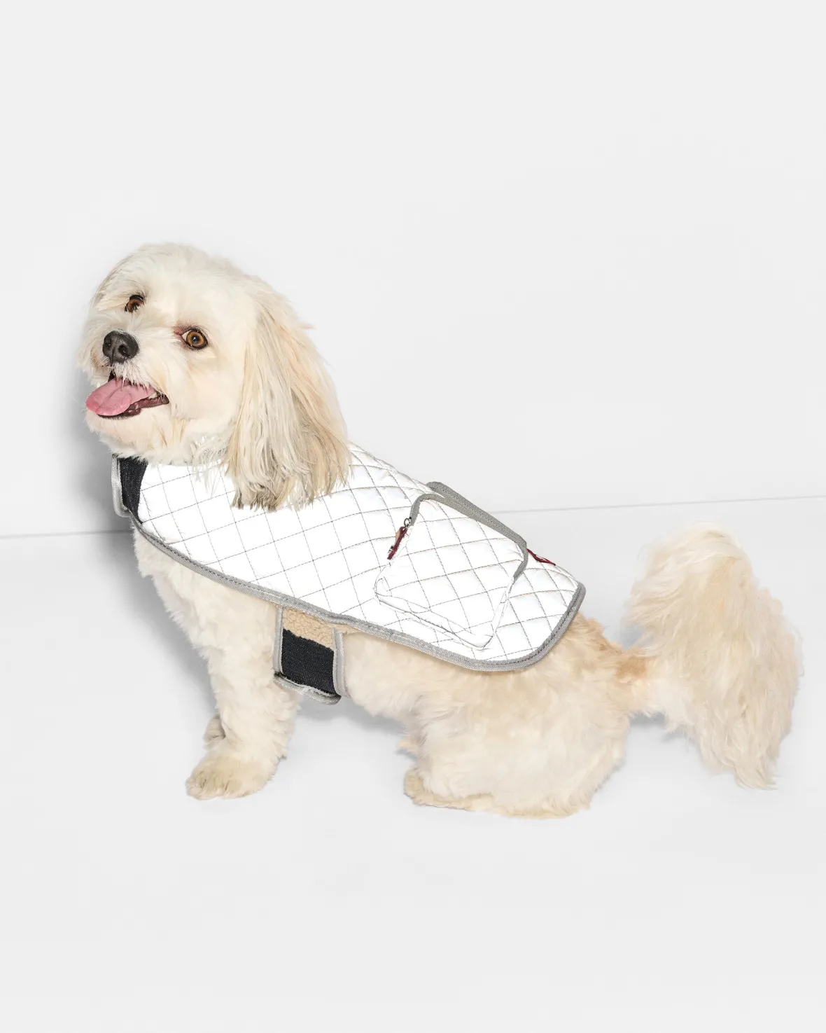 Accessories<MZ Wallace Small MZW Dog Coat SilverReflectiveW/TanSherpa